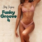 Stef Segers - Funky Groove 4