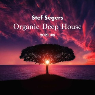 Stef Segers - Organic Deep House 2021-6