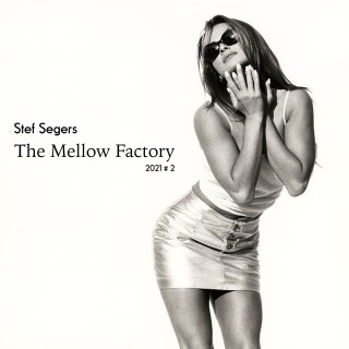 Stef Segers - The Mellow Factory 2021-2