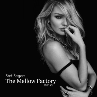 Stef Segers - The Mellow Factory 2021-3