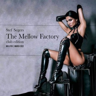 Stef Segers -  The Mellow Factory Club edtion - March 2022