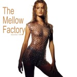 Stef Segers - The Mellow Factory - december 1998