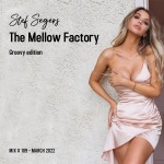 Stef Segers - The Mellow Factory Groovy edition - March 2022