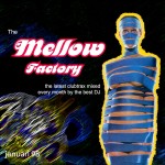 Stef Segers - The Mellow Factory January 98