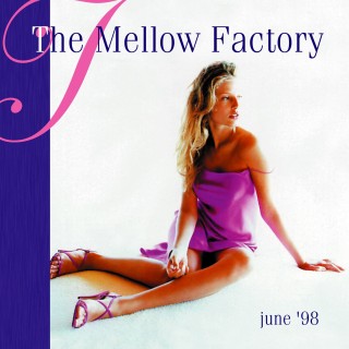 Stef Segers - The Mellow Factory juni '98